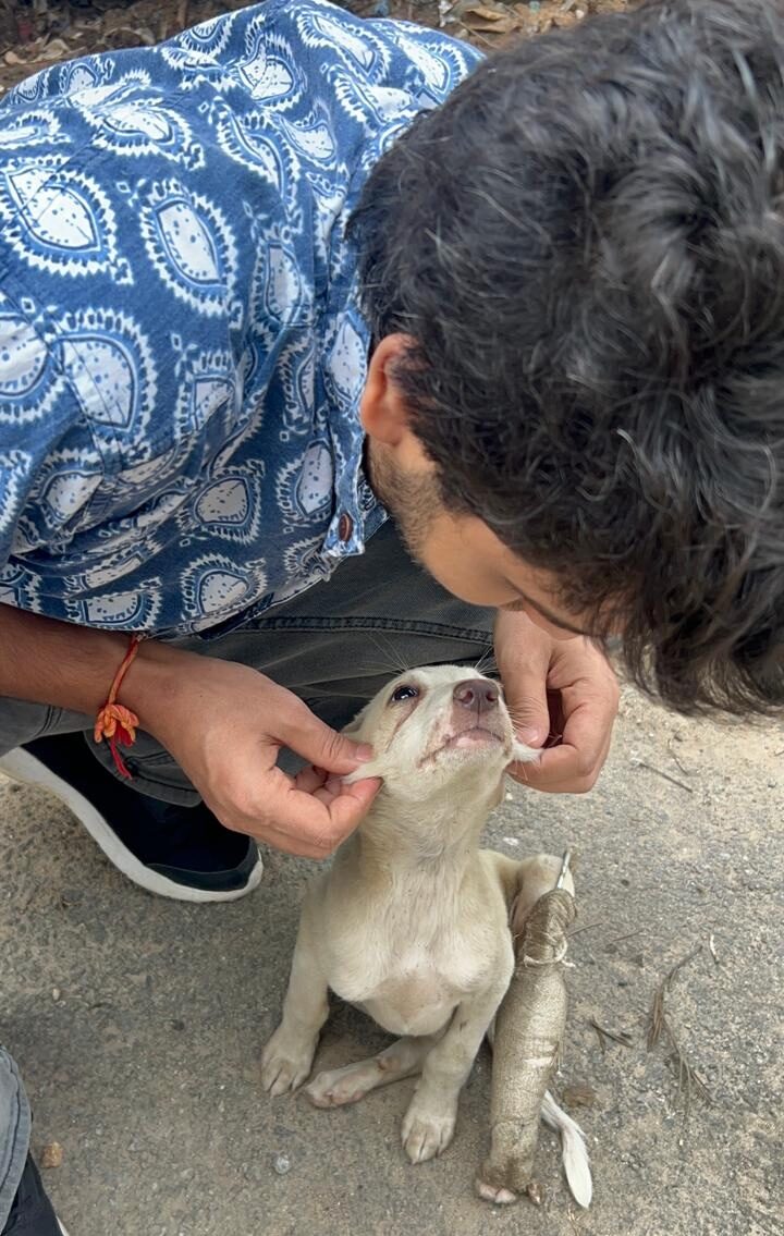 PHOTO-2025-08-30-01-01-29