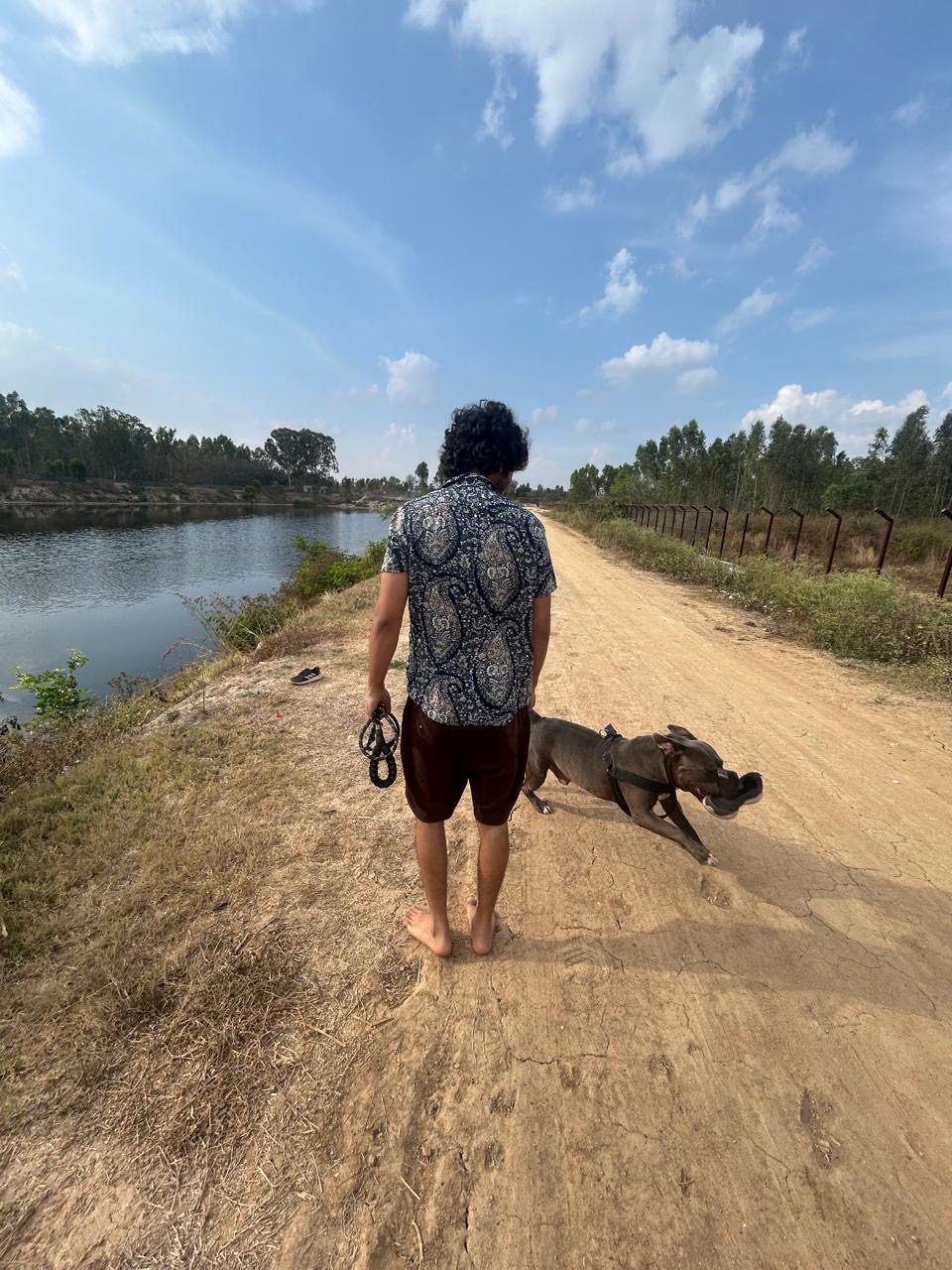 ba655c26-a34a-40d7-922a-5faa5509cc9b