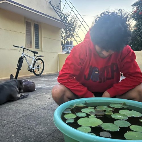 326f1519-ac7d-41f4-9b88-33ba601c2dac